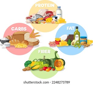 The four main food groups illustration