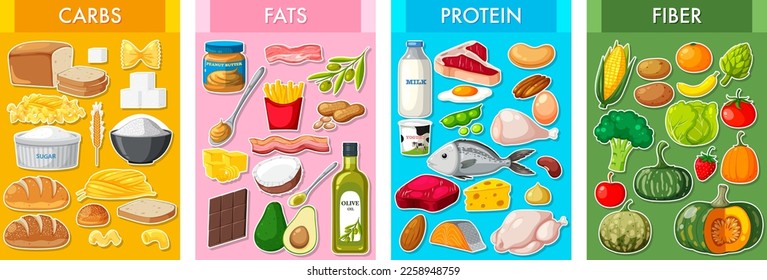 Ilustración de los cuatro grupos principales de alimentos