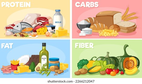 The four main food groups illustration