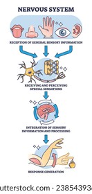 Cuatro funciones principales del sistema nervioso con diagrama de contorno de recepción sensorial. Esquema educativo etiquetado con ilustración vectorial de etapas de procesos de señal y respuesta. Sensaciones de procesamiento neural.