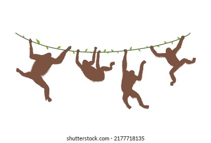 Four Monkeys Orangutan Hanging on The Vines of Tree Branch Flat Vector Silhouette Illustration