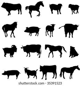 The four most popular animals - cattle, horses, pigs, sheep