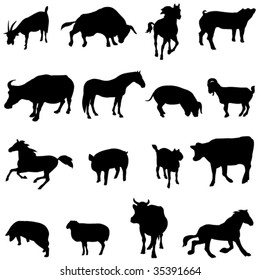 The four most popular animals - cattle, horses, pigs, sheep