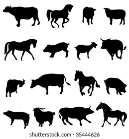 The four most popular animals - cattle, horses, pigs, sheep