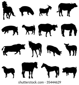 The four most popular animals - cattle, horses, pigs, sheep