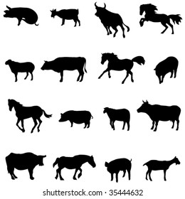 The four most popular animals - cattle, horses, pigs, sheep