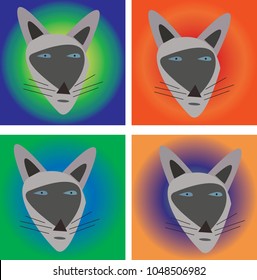 The four muzzles of a Siamese cat