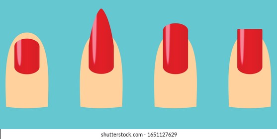 Cuatro formas de uñas: oval, cuadrado, estiletto, escamoso