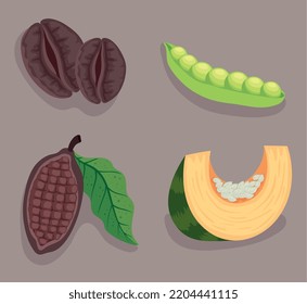 four nuts ,seeds and beans