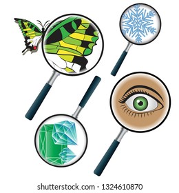 Four objects are viewed under a magnifying glass. enlarged snowflake, enlarged gems, enlarged butterfly wing, enlarged surprised eye. vector illustration. EPS 10.