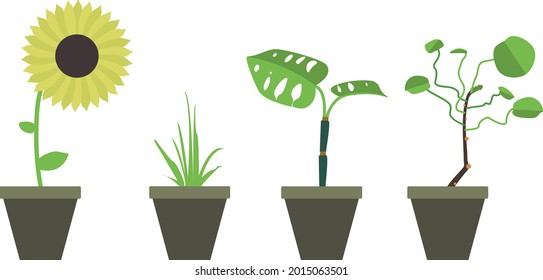 Cuatro opciones para iconos florales en una olla de estilo plano. Ilustración vectorial. Aislado sobre un fondo blanco