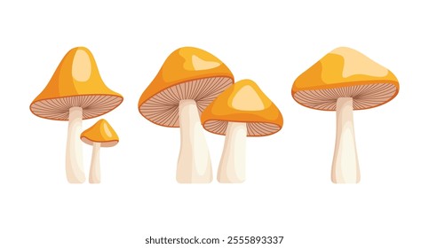 Four orange mushrooms of varying sizes are depicted.