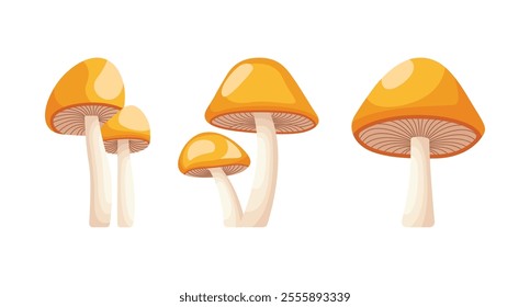 Four orange mushrooms of varying sizes are depicted.