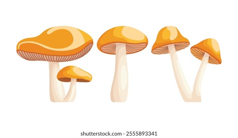 Four orange mushrooms of varying sizes are depicted.