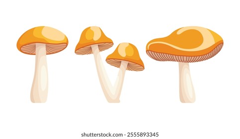 Four orange mushrooms of varying sizes are depicted.