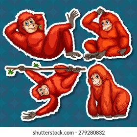 Four orangutans in different positions