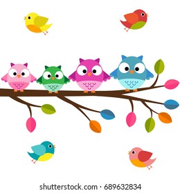 Four owls on a branch with birds