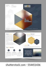 Four Pages Presentation of Professional Business Brochure Set with abstract design and laptop.