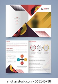 Four Pages Professional Business Brochure Set with colorful abstract design.