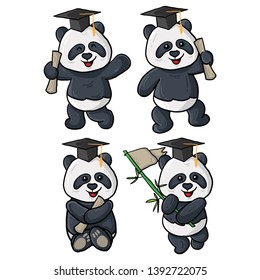 four panda graduation illustrations, for decoration templates, greeting cards and for all needs