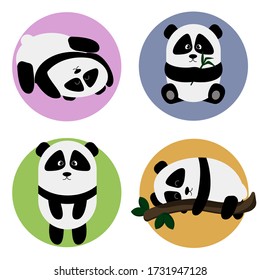 cuatro pandas en diferentes poses, obras de teatro, sentado con una rama de bambú, de pie, duerme en una rama de árbol