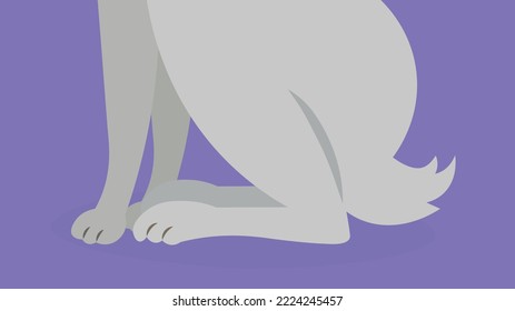 Four paws of a cat - illustration
