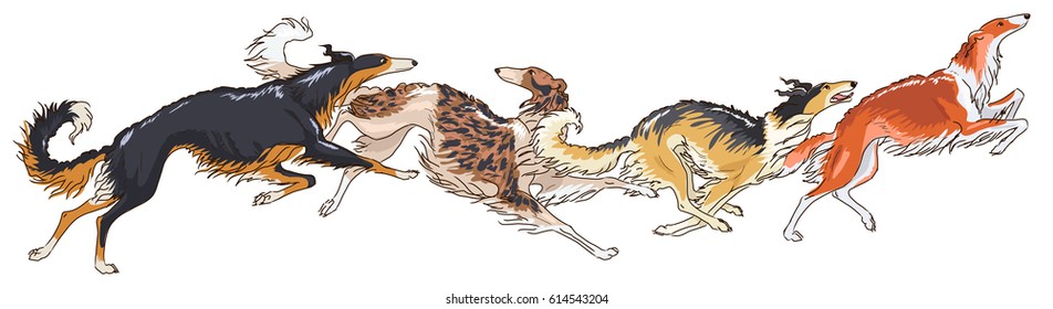 Four pedigree russian wolfhounds. Running borzoi dogs. Black with tan trimm, brindle, sable and red variations of coat. Horizontal panoramic view, vector illustration isolated on white background. - Shutterstock ID 614543204