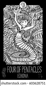 Four of pentacles. Echidna. Minor Arcana Tarot card. Fantasy line art illustration. Engraved vector drawing. See all collection in my portfolio set