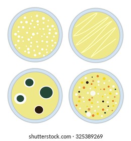 four petri dishes with different microbiological cultures grown