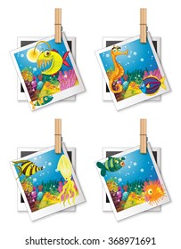 Four photo frames of fish illustration