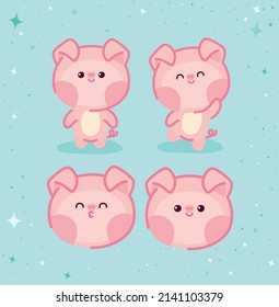 four pigs group over blue