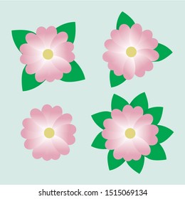Four pink flowers
with different number of elements on the blue background