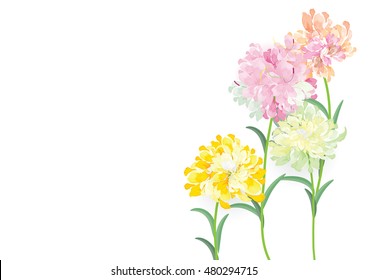 four pink yellow red green flowers circle bouquet on white background