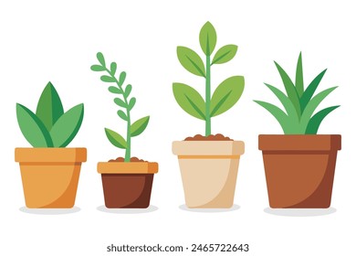 
four Plants in clay pots, flat vector illustration