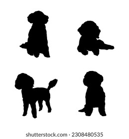 Four poodle silhouette set isolated on white background.