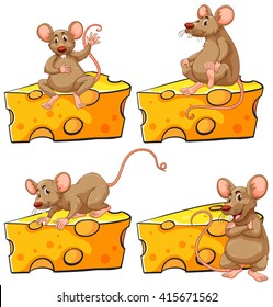 Four poses of mouse and cheese illustration