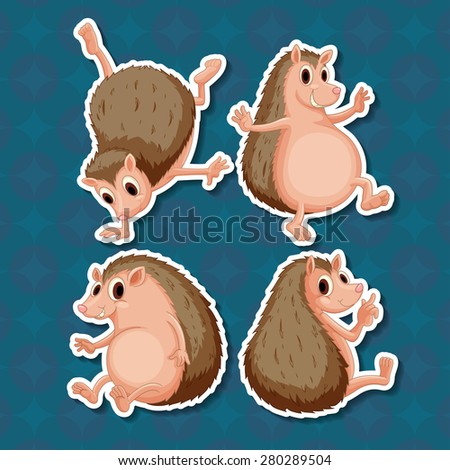 hedgehogs Animal Hedgehog