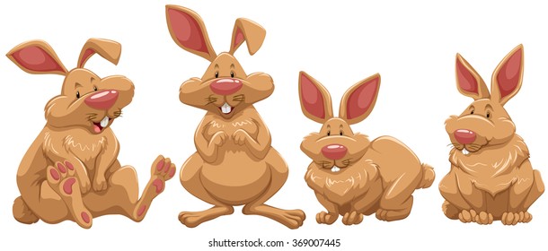 Four rabbits with brown fur illustration