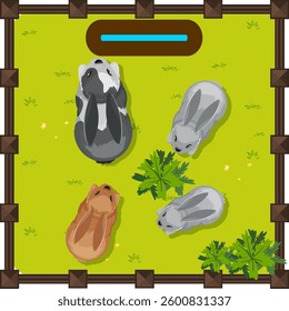 Four rabbits in a grassy fenced area