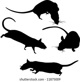 four rat silhouettes isolated on white background