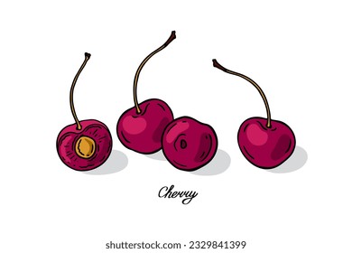 Four red cherry. Color poster. Vector illustration