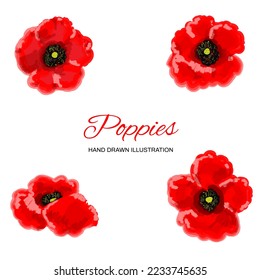 Four red poppies on white background. Vector Illustration. 