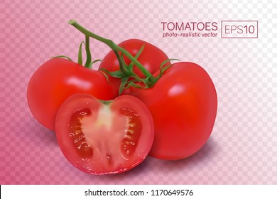 Four ripe red tomatoes on a branch. Photo-realistic vector illustration on a transparent background. These tomatoes can be placed on any background.