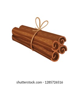 Four rolled sticks of cinnamon tied with rope. Aromatic condiment. Fragrant seasoning. Detailed flat vector design