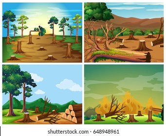 afforestation and deforestation models
