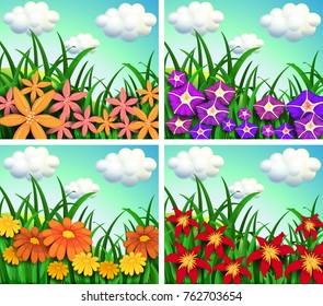Four scenes of flower fields illustration
