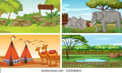 Four scenes with wild animals in parks illustration