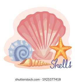 four sea shells set scene and lettering vector illustration design