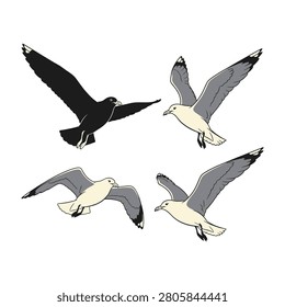Four seagulls in flight against a clean white backdrop, wings spread wide