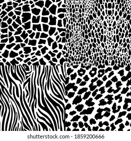 Four seamless patterns of animal prints. Abstract black and white composition of the pattern of zebra, tiger, lizard, giraffe.